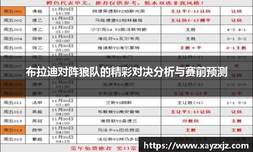 布拉迪对阵狼队的精彩对决分析与赛前预测